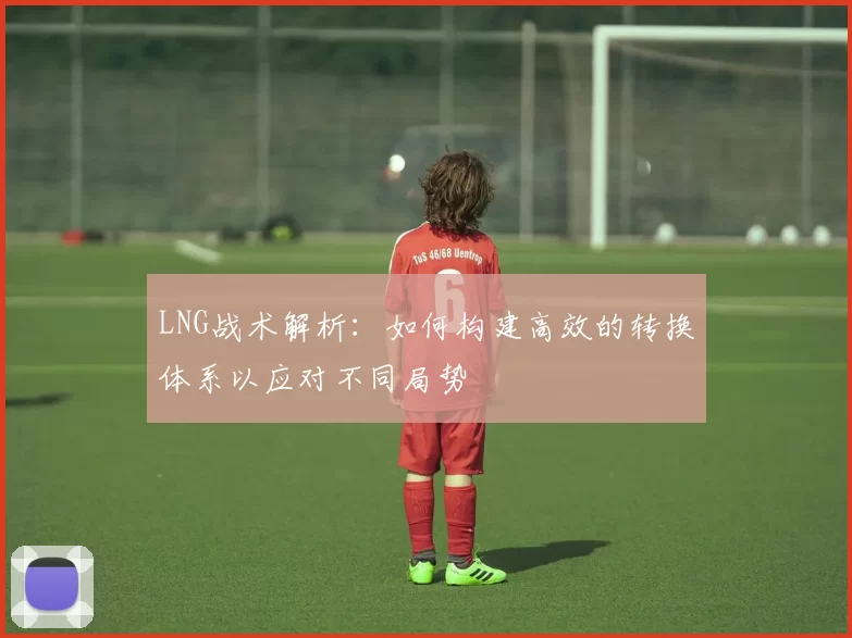 LNG战术解析：如何构建高效的转换体系以应对不同局势