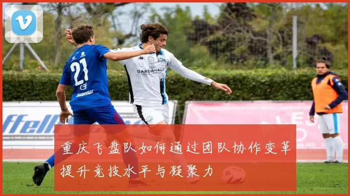 重庆飞盘队如何通过团队协作变革提升竞技水平与凝聚力