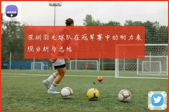 深圳羽毛球队在冠军赛中的耐力表现分析与总结