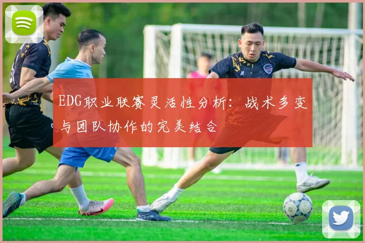 EDG职业联赛灵活性分析：战术多变与团队协作的完美结合
